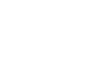 Holm Conseil